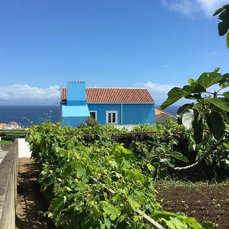 Vila Casa Do Vizinho Porto Judeu Exteriér fotografie
